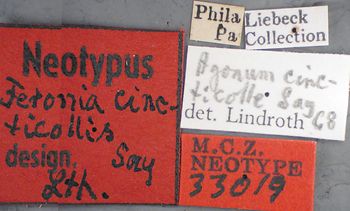 Media type: image;   Entomology 33019 Aspect: labels